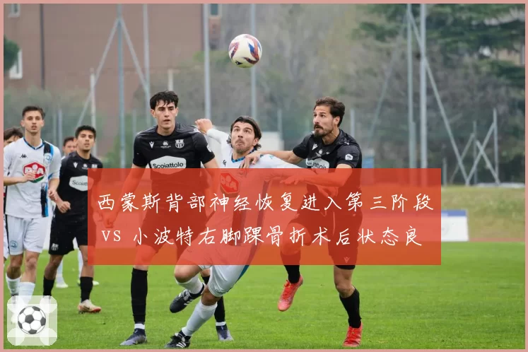 西蒙斯背部神经恢复进入第三阶段 vs 小波特右脚踝骨折术后状态良好,篮网控卫复出时间表落后掘金