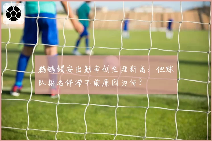 鹈鹕锡安出勤率创生涯新高,但球队排名停滞不前原因为何?