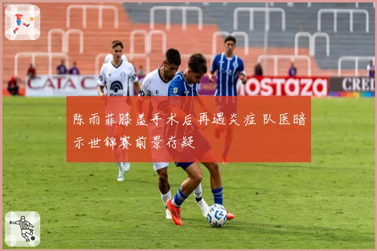 陈雨菲膝盖手术后再遇炎症 队医暗示世锦赛前景存疑