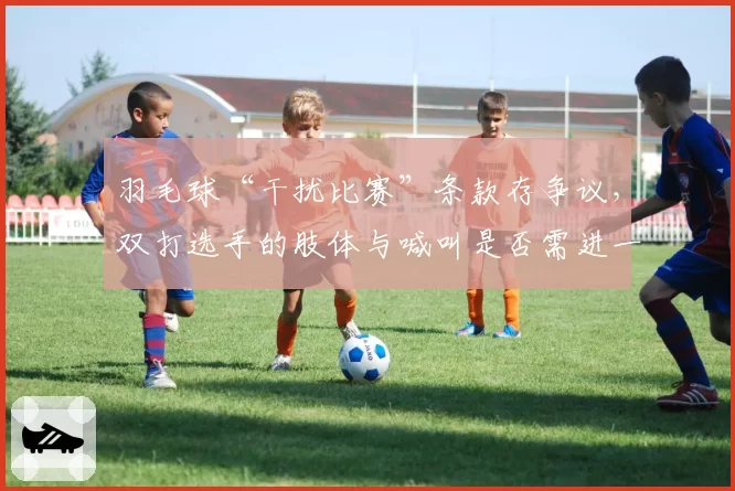 羽毛球“干扰比赛”条款存争议，双打选手的肢体与喊叫是否需进一步规范？